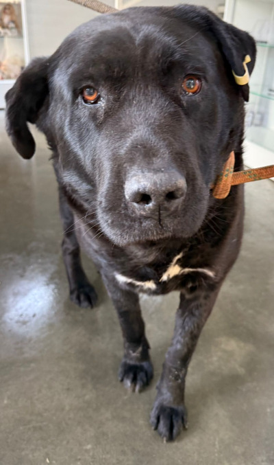 Усолье-Сибирское 9/25