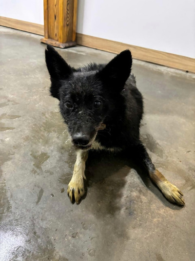 Усолье-Сибирское 13/25