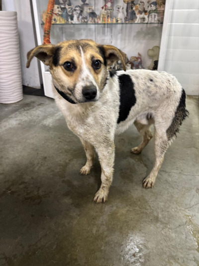 Усолье-Сибирское 14/25