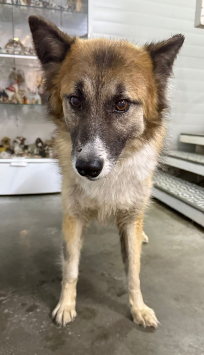 Усолье-Сибирское 17/25