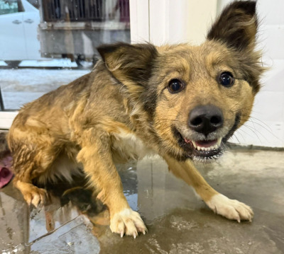 Усолье-Сибирское 18/25