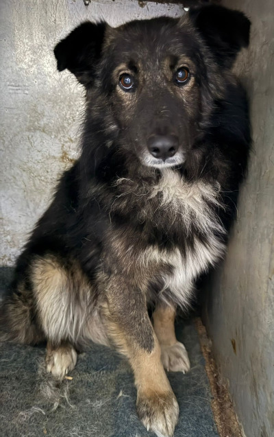 Усолье-Сибирское 21/25