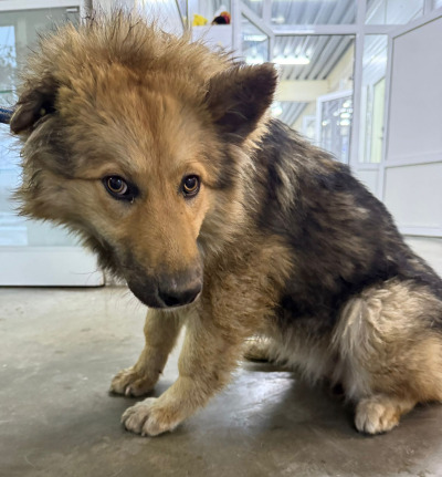 Усолье-Сибирское 22/25