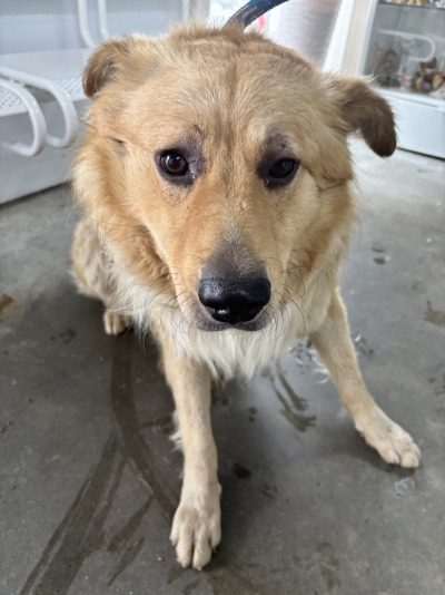 Усолье Сибирское 25/25