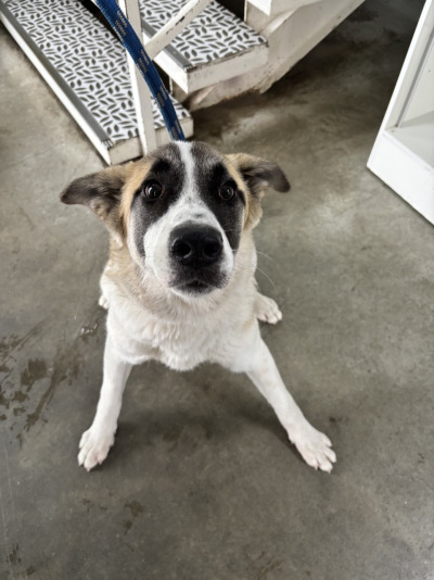 Усолье-Сибирское 26/25