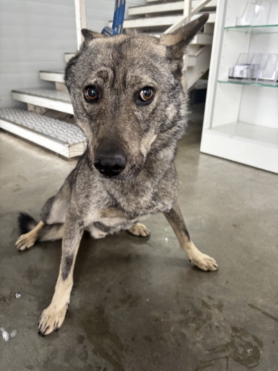 Усолье-Сибирское 28/25