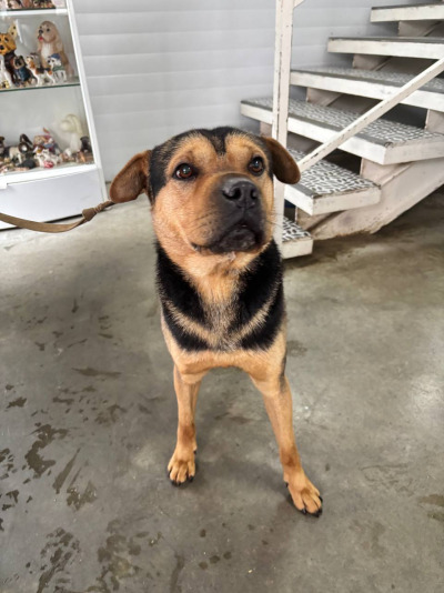 Усолье-Сибирское 29/25