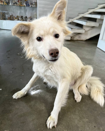 Бодайбо 1(21)/25