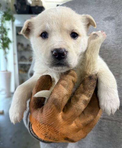 Бодайбо 5(18)/25