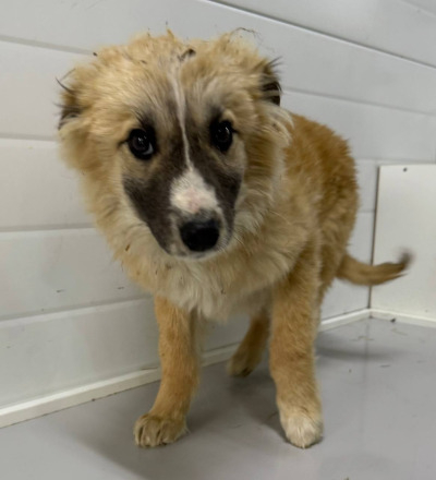 Бодайбо 9(27)/25