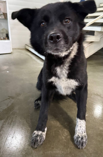 Бодайбо 20(13)/25