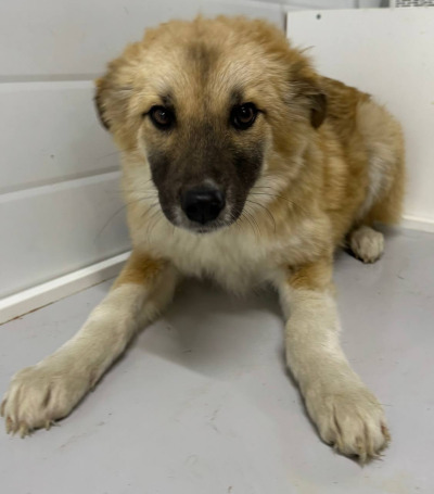 Бодайбо 23(24)/25