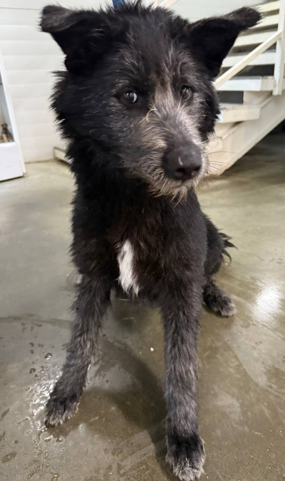 Бодайбо 24(14)/25