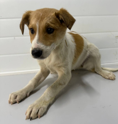 Бодайбо 27(32)/25