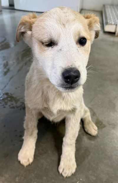 Бодайбо 11(10)/25