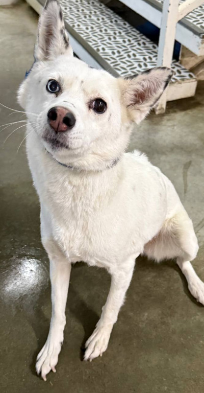 Бодайбо 28(2)/25