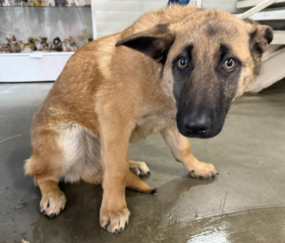 Бодайбо 32(6)/25