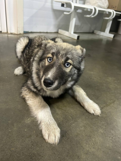 Усолье-Сибирское 1/25