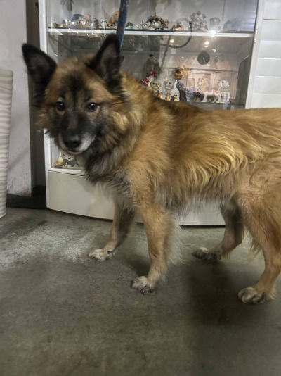 Усолье-Сибирское 2/25