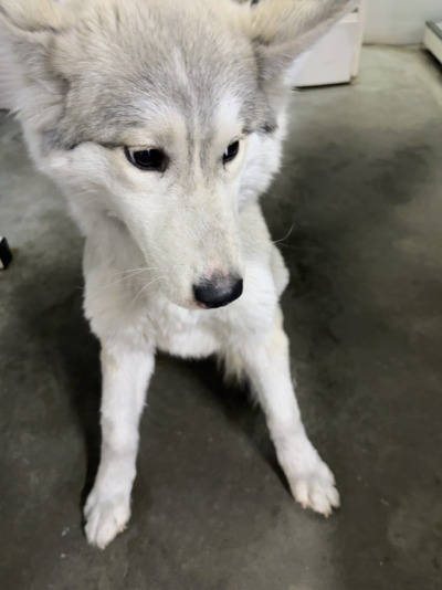 Усолье-Сибирское 5/25