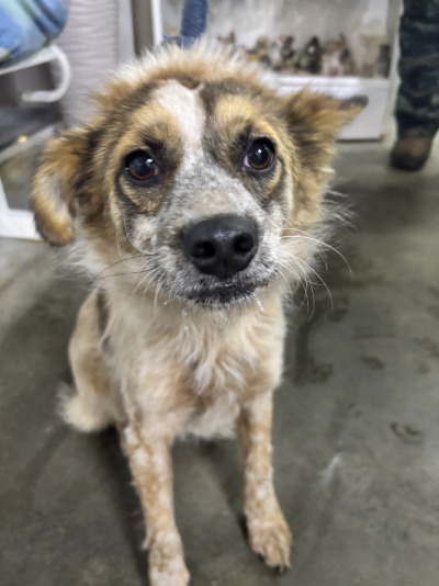 Усолье-Сибирское 6/25