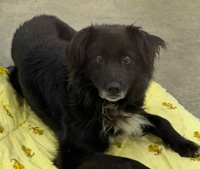 Усолье-Сибирское № 1/26