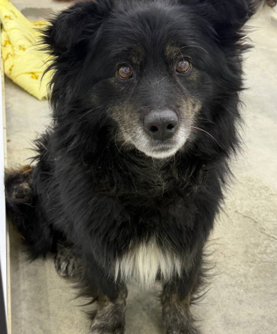 Усолье-Сибирское № 2/26