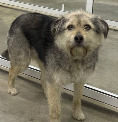 Усолье-Сибирское № 3/26