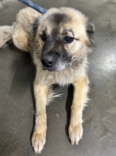 Усолье-Сибирское № 4/26