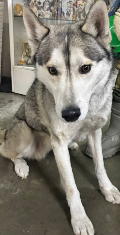 Усолье-Сибирское № 5/26