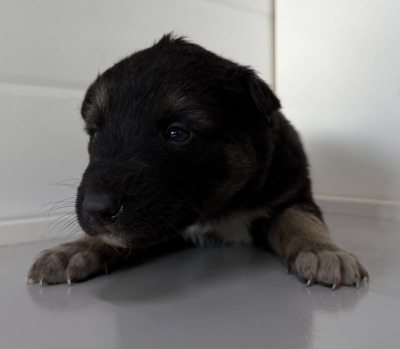 Бодайбо и район  58(2)\26